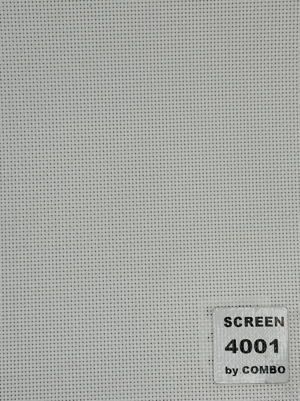 SCREEN4001